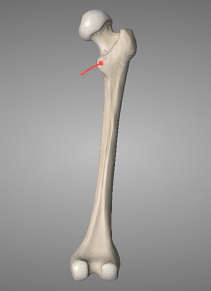 <p>surface feature</p>