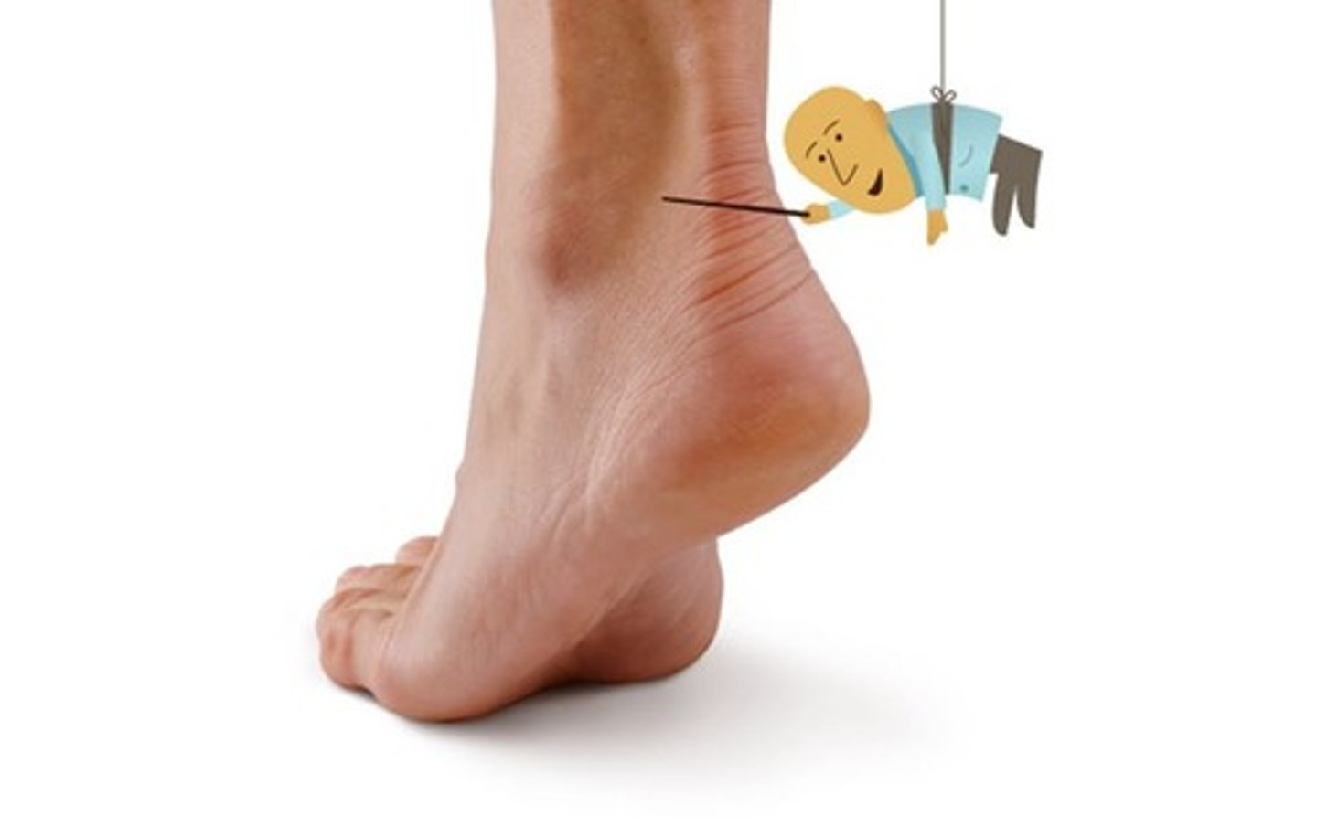<p>ankles</p>
