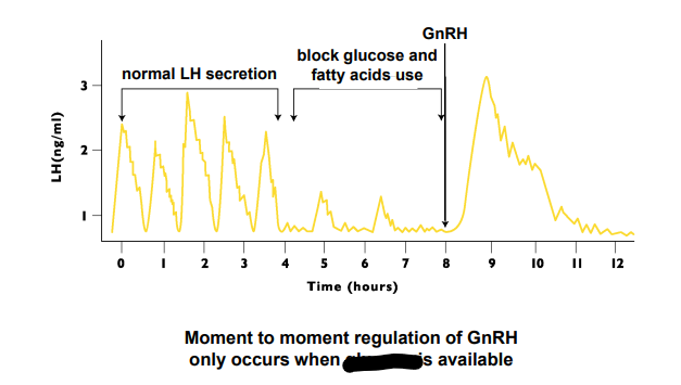 <p>Moment to Moment regulation of GnRH only occurs when ____ is availiable </p>