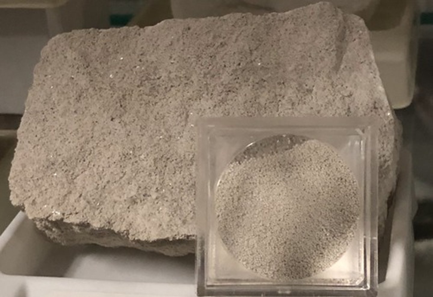 <p>Oolitic Limestone</p>