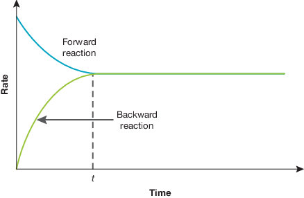 <p>in this e.g. where we start with reactant high conc (can diff according to example):</p><ul><li><p>as reactants used up → conc drops → hence rate forward reaction drops</p></li><li><p>as products produced → conc increases → hence rate backward reaction increases</p></li><li><p>this continues until reach a time where same rates of reactions → equilibrium reached</p></li><li><p>but note still in above e.g. there is a <u>net forward reaction</u> as still more forward than reverse happening even as forward reaction rate decreases</p></li><li><p>if situation flipped and more product conc at start then the graph labels would swap and reverse reaction would be on top instead (net reverse reaction)</p></li></ul><p></p>