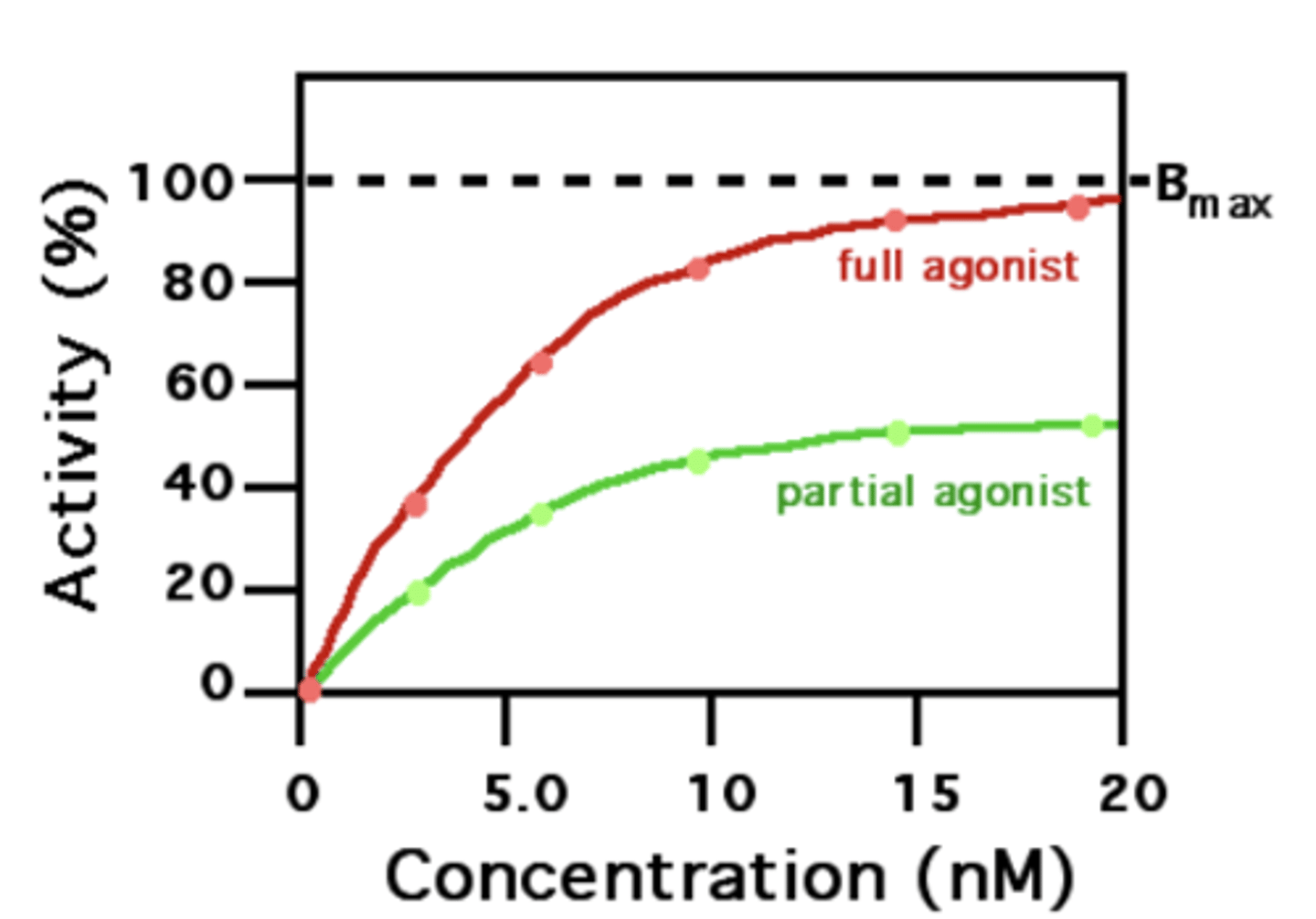 <p>can activate receptor, but are unable to elicit a maximal response </p><p>- can induce some degree of receptor activation but not of sufficiently </p>