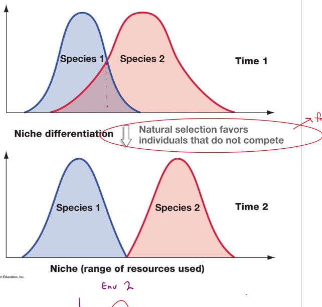 <p>What is Niche Differentiation (or resource partitioning) and how do you know its occuring? </p>