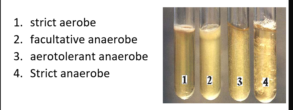 <ul><li><p>thioglycolate is a reducing agent that takes away O2 from tube (more O2 on top vs less on bottom)</p></li><li><p>gradient of O2 is created</p></li><li><p>semi-solid medium </p></li></ul><p></p>
