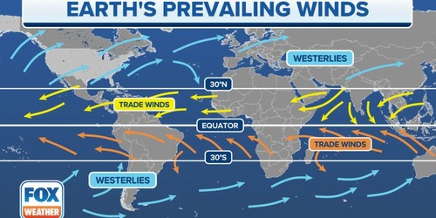 <p>Winds are named from their point of origin; for example, westerlies come from the west and travel east.</p>