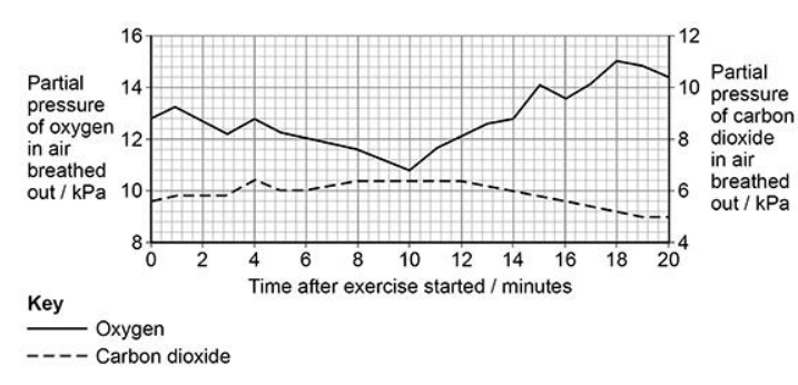 <p>An increase in the intensity of exercise produces an increase in the volume of carbon dioxide produced. </p><p>However, the graph above shows that the pCO<sub>2</sub> in air breathed out did not show a large increase during the exercise. Suggest one physiological change that would cause this result. Explain how the physiological change would allow for the removal of the increase in the volume of carbon dioxide produced (2) </p>