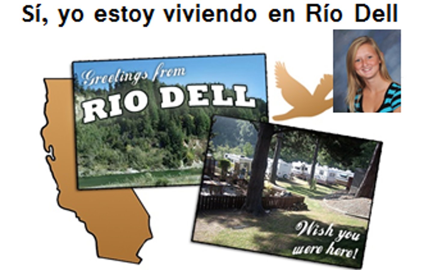 <p>vivimos</p>