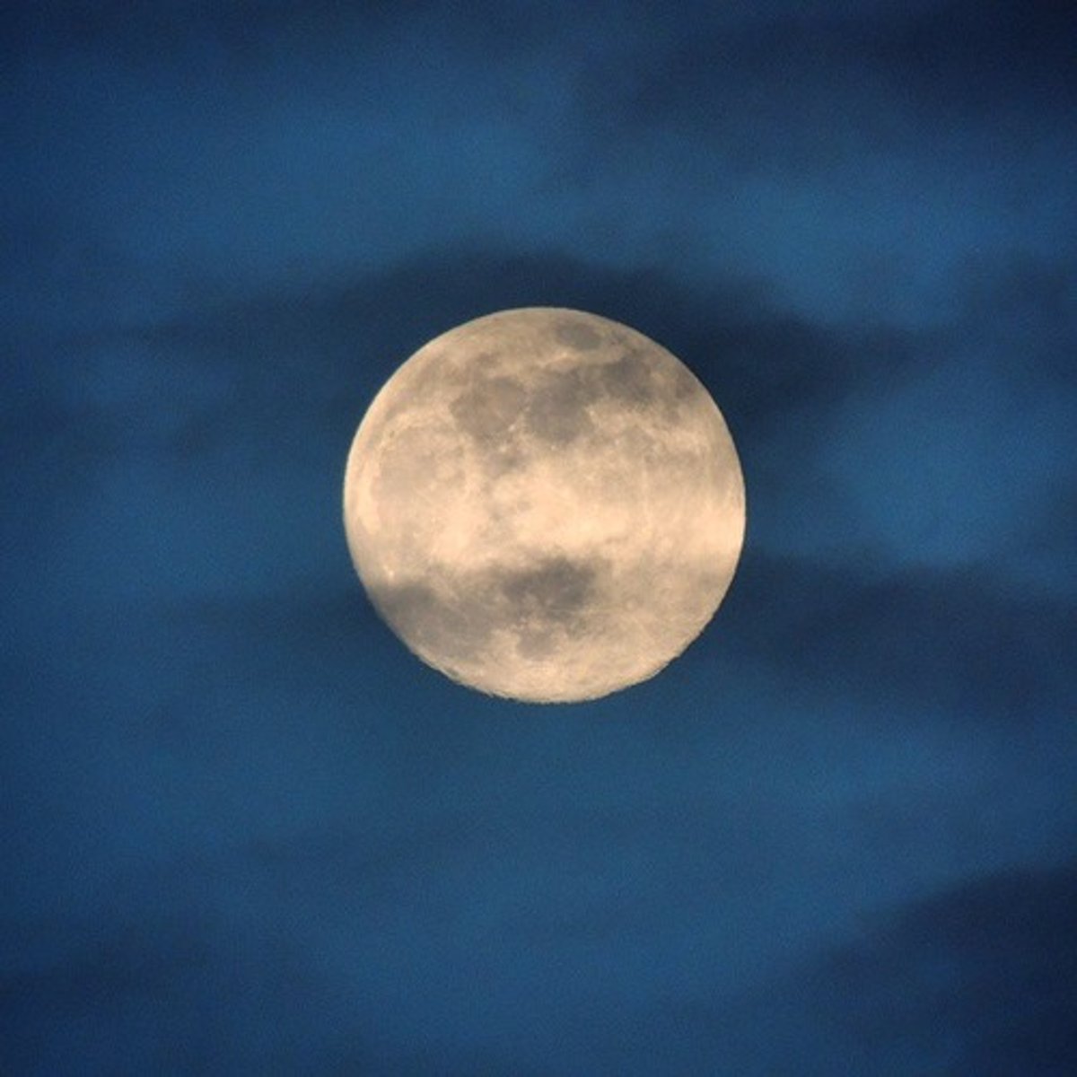 <p>last night (preterite)</p>