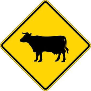 <p>what sign is this?</p>