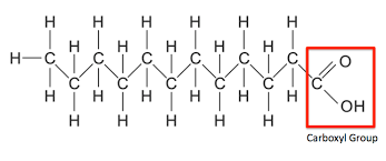 <ul><li><p>Contains 1 single covalent bond between carbons</p></li><li><p>Simplified structure /\/\/\/\/\/ zig zag</p></li><li><p>Solid at room temp.</p></li><li><p>ex) butter, lard, animal fat (Can cause heart disease)</p></li></ul><p></p>