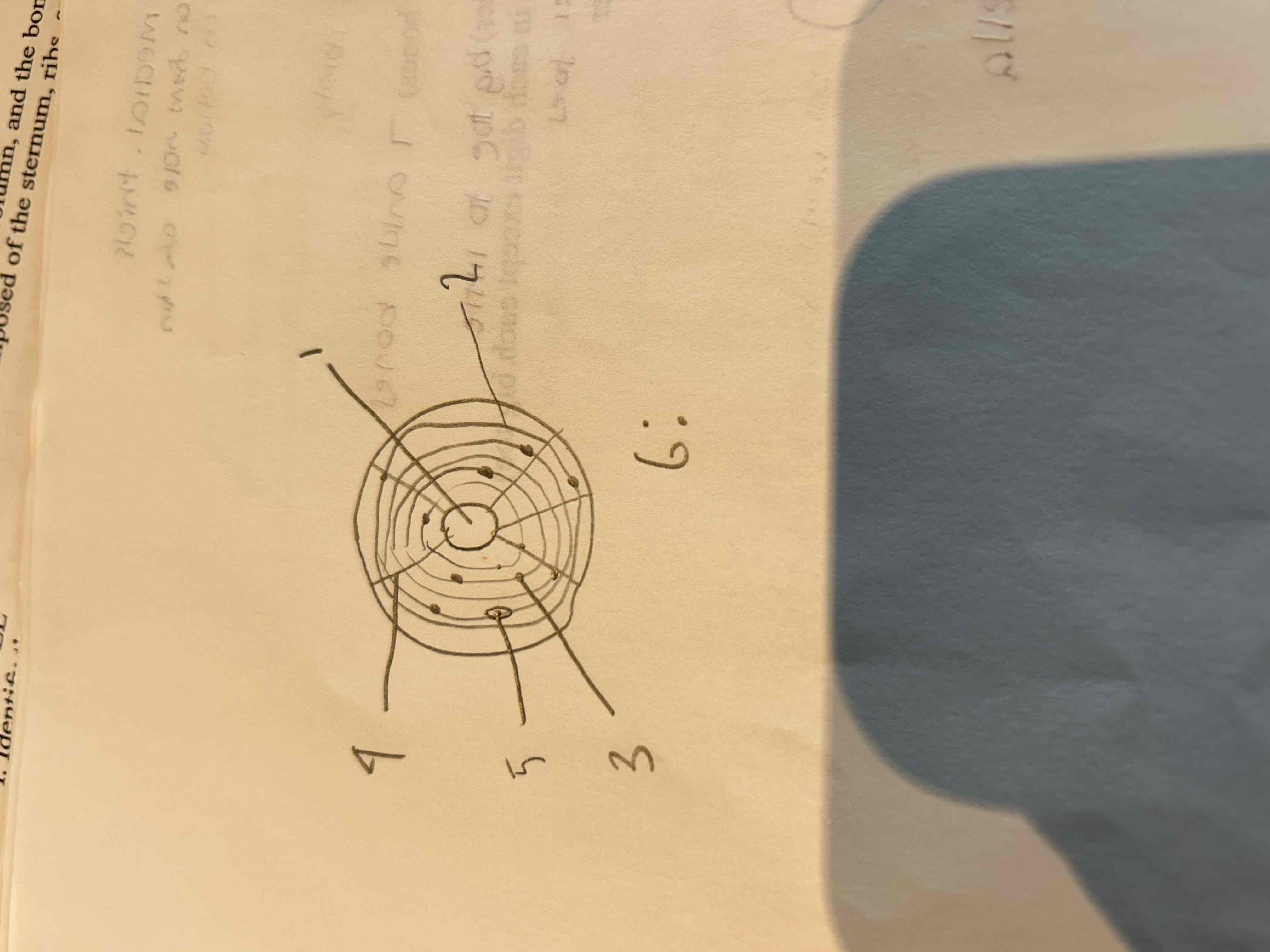 <p>What is 4 pointing to </p>