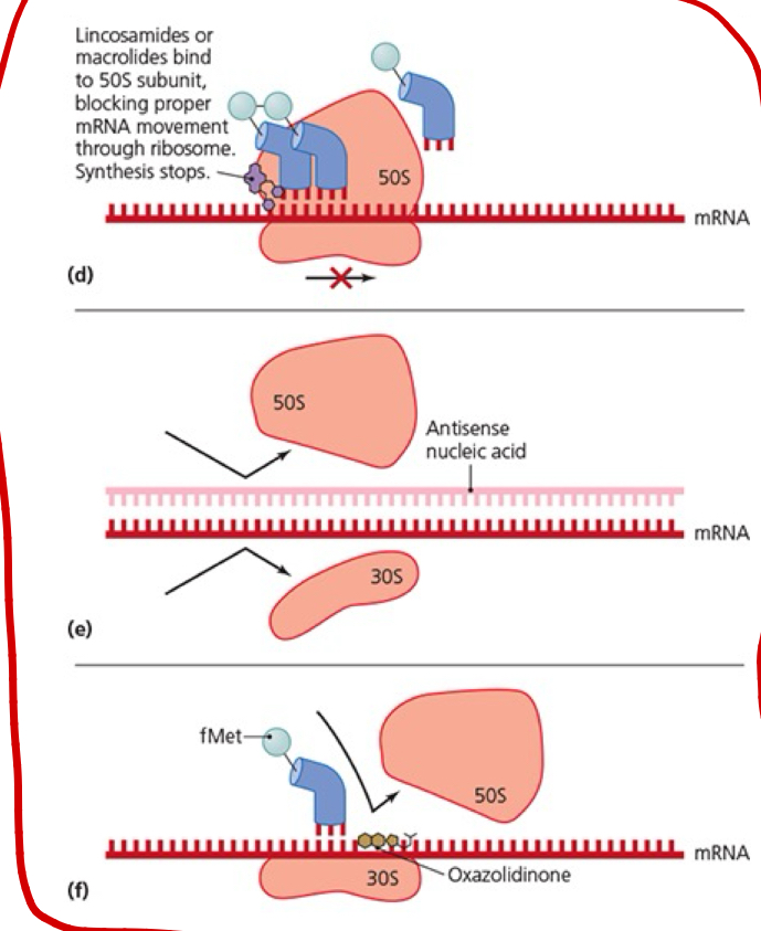 <p>Explain the process this image shows.</p>