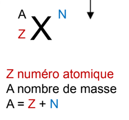 <p>Les éléments chimiques se nomenclaturent de la façon suivante :</p><p>- X : symbole de l’élément chimique</p><p>- A : Nombre de masse, nombre de nucléons</p><p>- Z : numéro atomique, qui correspond au nombre de protons, caractéristique de l’élément chimique <em>(tous les isotopes d’un même élément chimique ont le même Z)</em></p><p>- N : Nombre de neutrons <em>(en général on ne le fait pas figurer car on l’obtient sous forme de simple soustraction A-Z)</em>.</p>