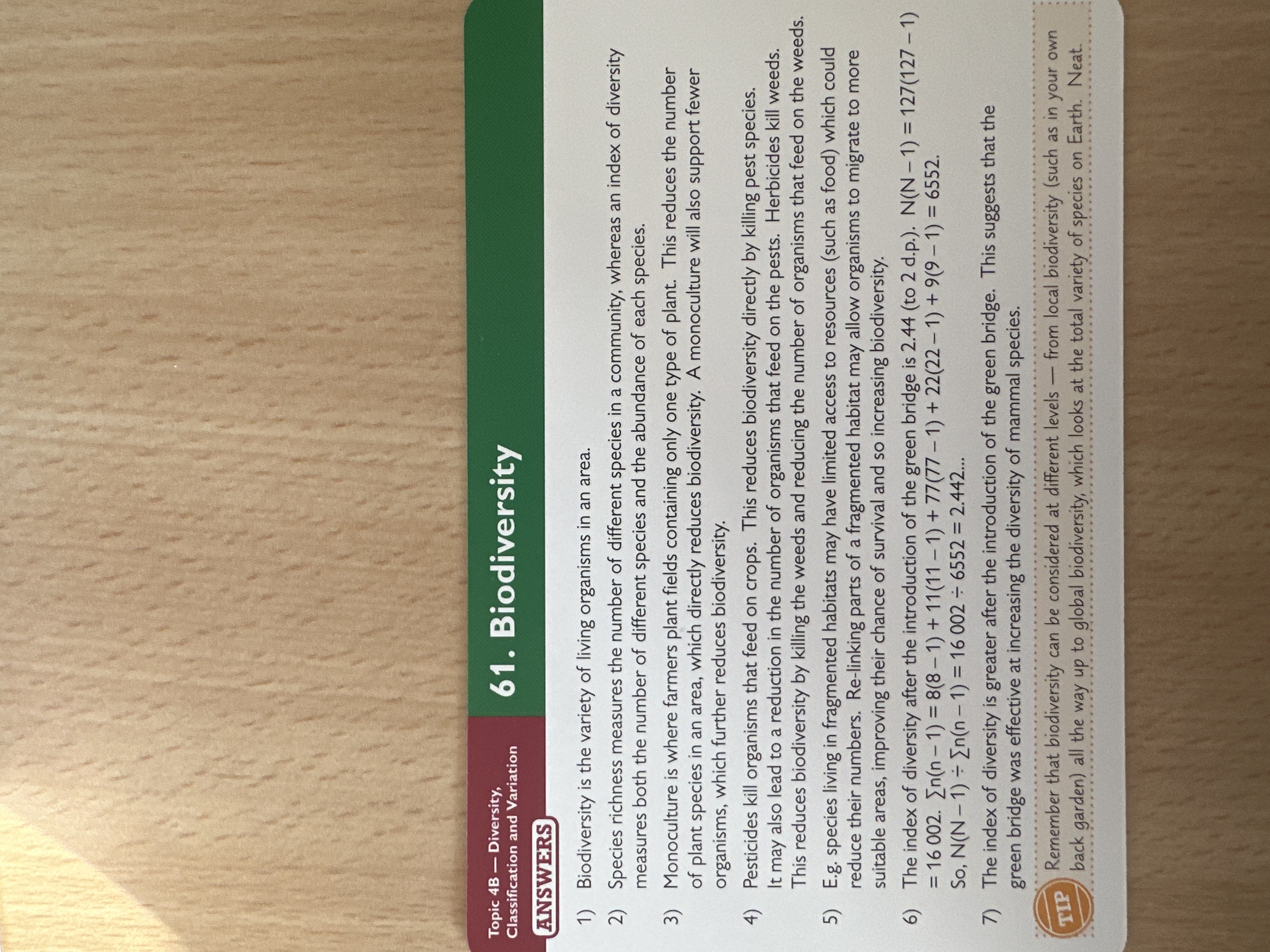 knowt flashcard image