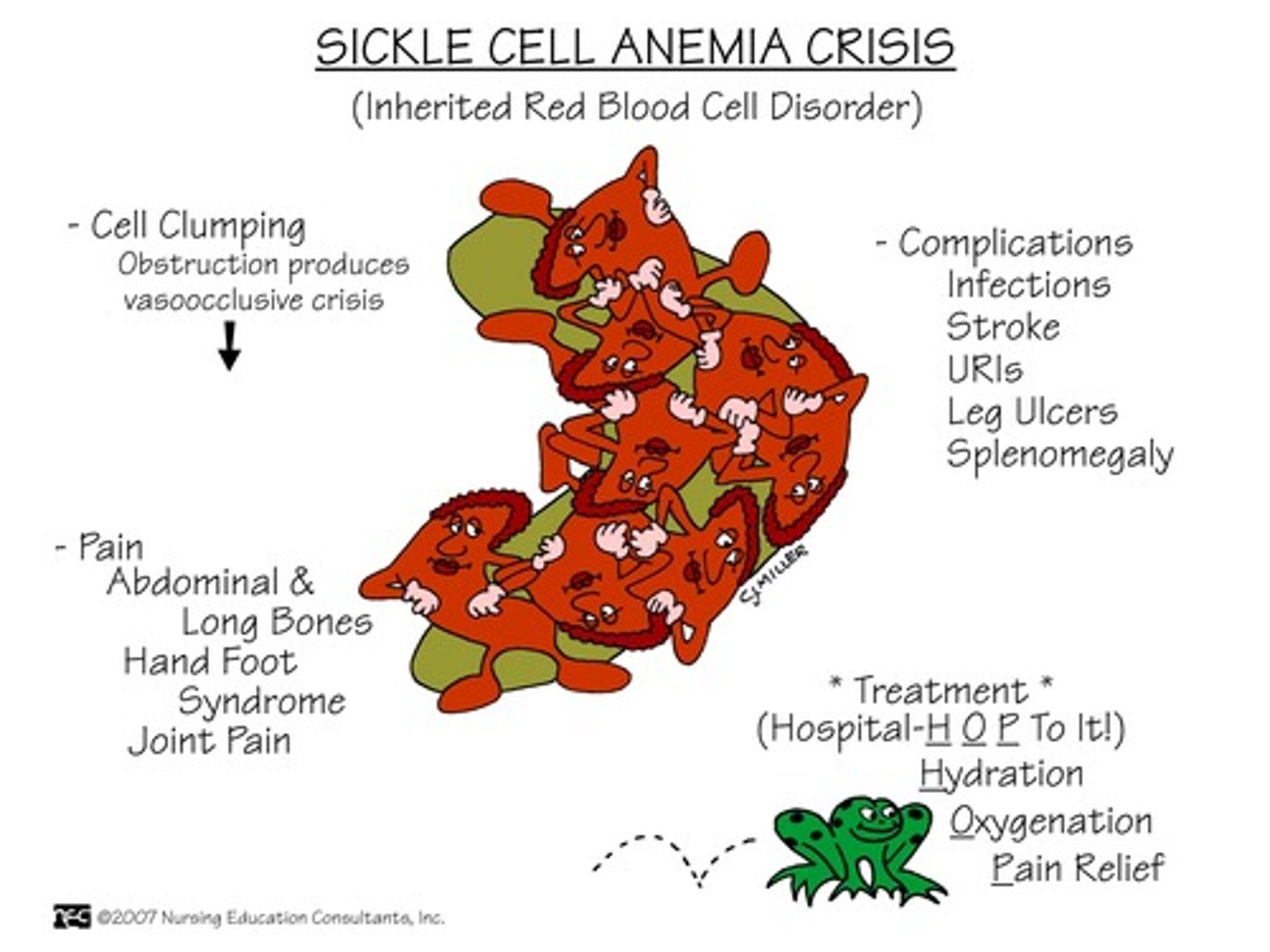 <p>- pain in abd, bones, joints, soft tissues</p><p>- acute chest pain syndrome</p><p>- infection (bc of spleen)</p><p>- sus stroke</p><p>- PAIN is the MC → opioids mainstay of tx***</p><p>retic would be elevated***</p>
