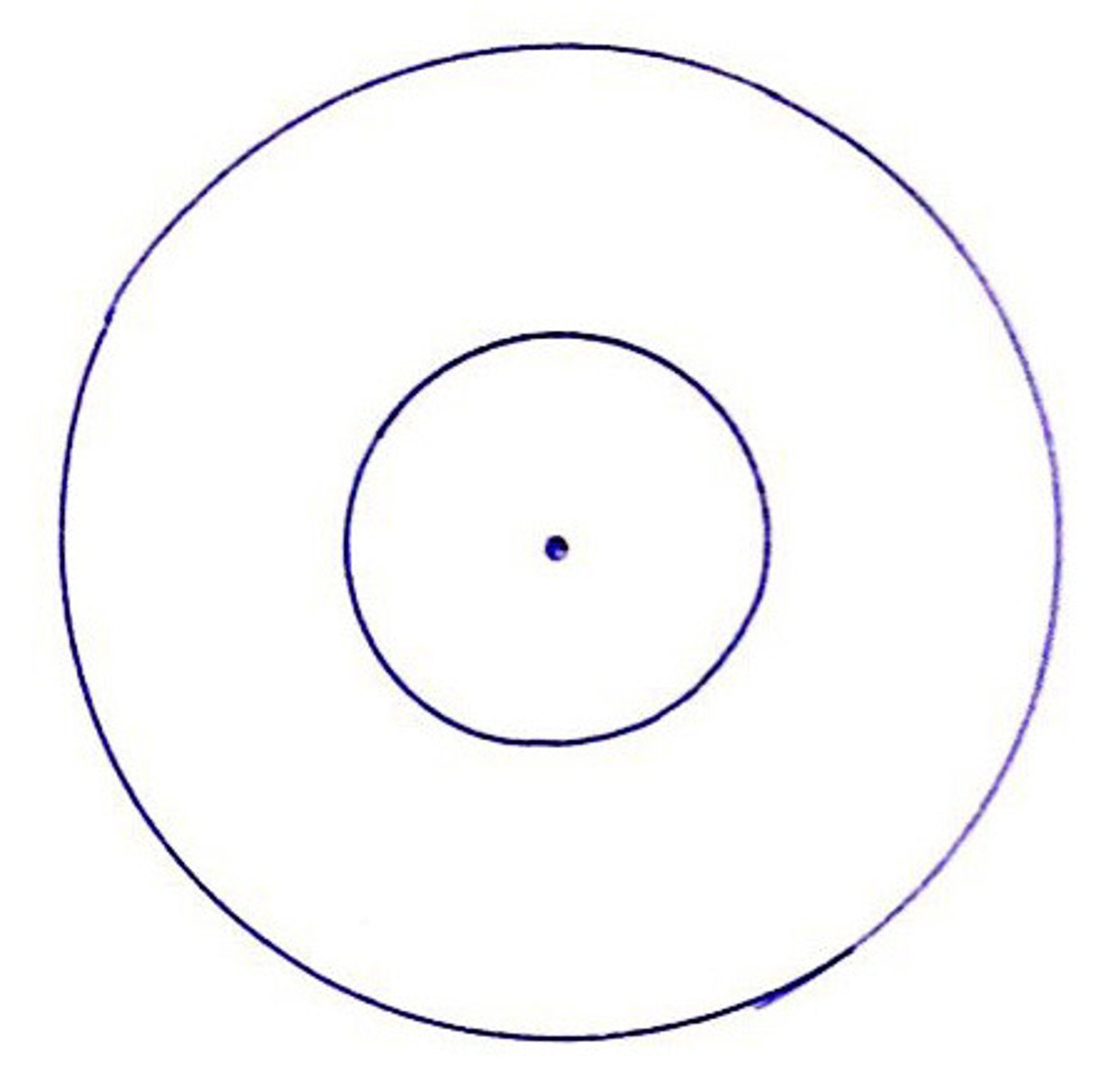 <p>Coplanar circles that have a common center</p>