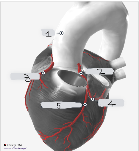 <p>3</p>