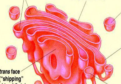 <p>What is this?</p>