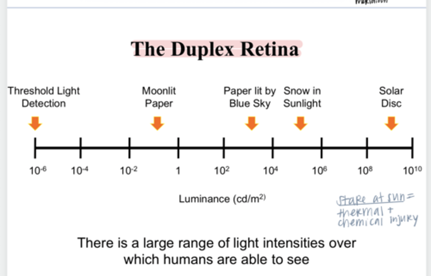 <p>True or False: </p><p>There is a large range of light intensities over which humans are able to see</p>
