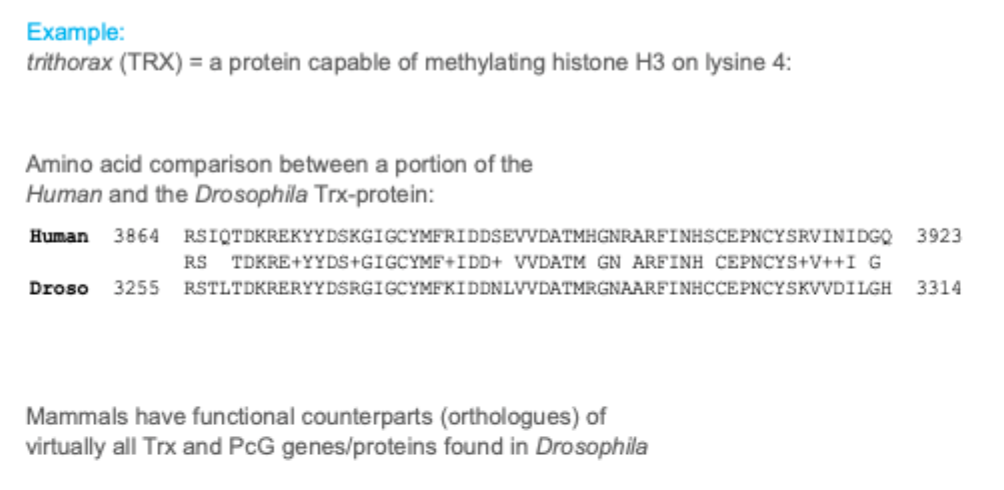 <p>Covalent modifications of histones </p>