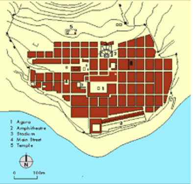 term image