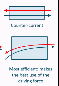 <ul><li><p>Most efficient</p></li></ul><p></p>