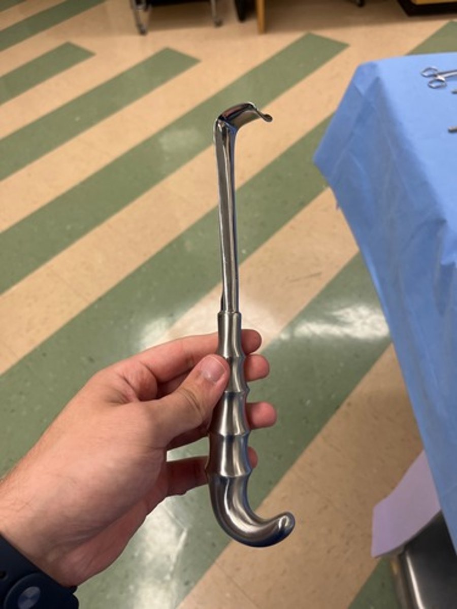 <p>Retracting anterior vaginal wall</p>