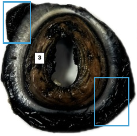 <p>What is this highlighted figure?</p>