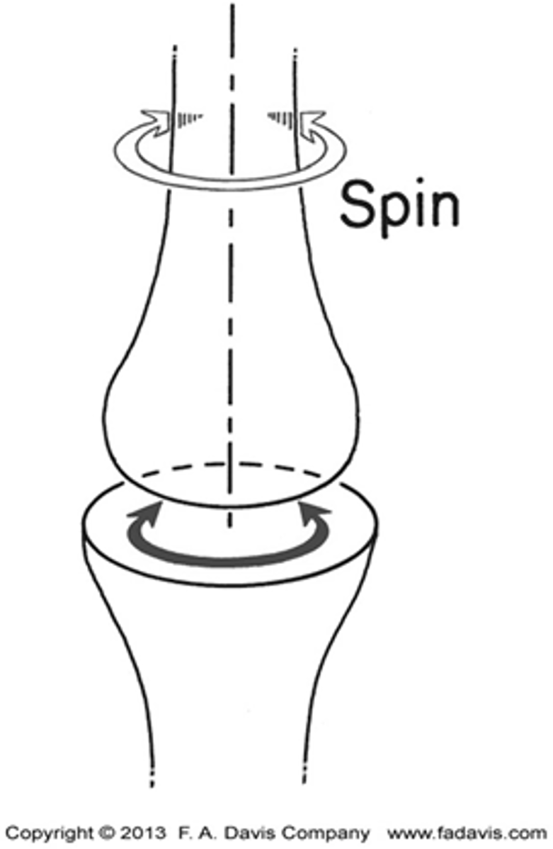 <p>a single point on 1 articular surface rotates on a single point on another articular surface<br><br>1 body spinning on another<br>ex: posterior spin of the femoral head in the acetabulum during hip flexion</p>