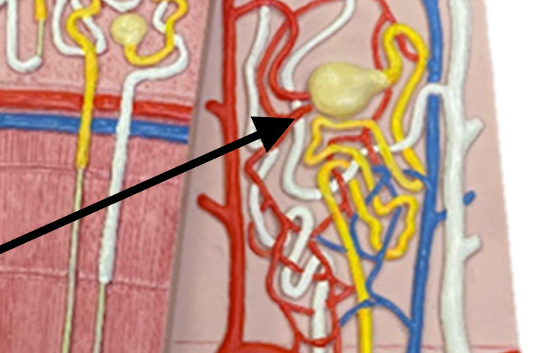 <p>Double check this </p>