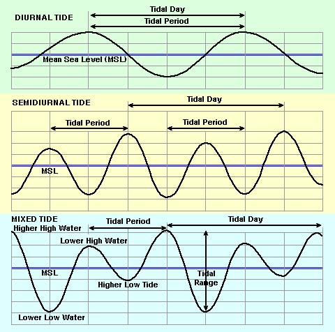 Taking the appropriate published time and height of high water (or time of low water for a low water curve) and the height of low water you are able to fill in you curve for the day.