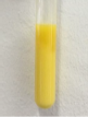 <p><strong>heavy cream hydrolysis result</strong><em> (test tube 3)</em></p>