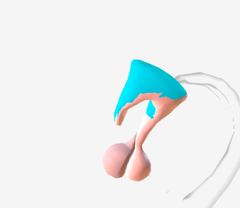 <p>What part of the endocrine system is this and what is it responsible for?</p>