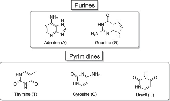 <p>heterocyclic ______ </p>