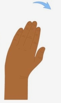 term image