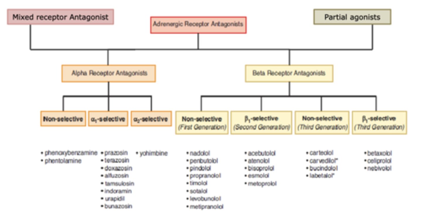 <p>• Direct acting</p><p>-For alpha OR beta receptors </p><p>-Selective or non-selective</p><p>• Mixed receptor acting </p><p>-For alpha AND beta </p><p>• Partial agonists</p>