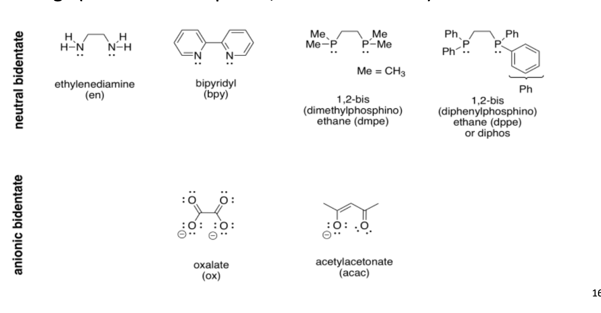 <p>When a ligand with a greater dentisity >1 binds to a metal ion, they form chelate rings (chelate=claw).</p>