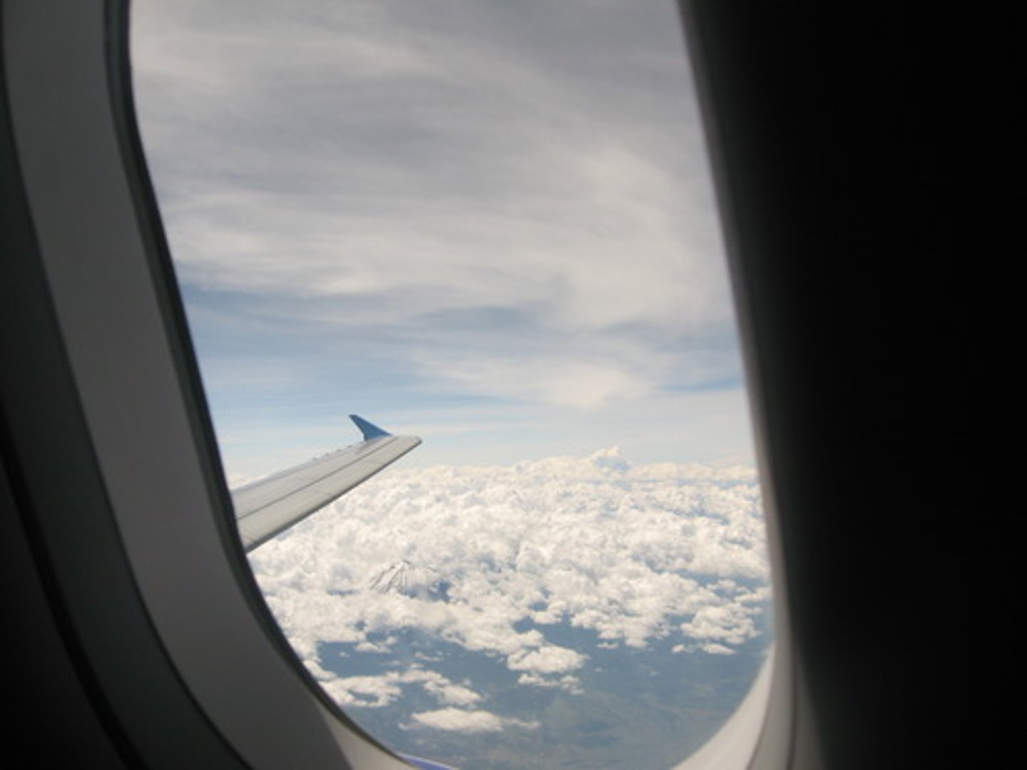 <p>window (plane)</p>
