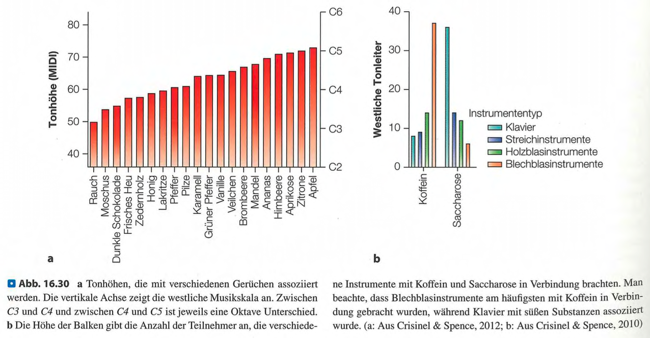 <p><span data-name="check_mark_button" data-type="emoji">✅</span> <strong>Kurzversion:</strong><br><strong>Korrespondenzen</strong> sind systematische Assoziationen zwischen chemischen Sinnen (z. B. Geschmack, Geruch) und anderen Sinnesmodalitäten wie <strong>Tonhöhe, Farbe oder Textur</strong>. So wirken z. B. süsse Aromen eher hoch, hell und glatt.</p><div data-type="horizontalRule"><hr></div><p class=""><span data-name="brain" data-type="emoji">🧠</span> <strong>Langversion:</strong></p><p> <span data-name="link" data-type="emoji">🔗</span> <strong>Definition:</strong></p><p class="">Korrespondenzen beschreiben <strong>systematische Verknüpfungen</strong> zwischen chemischen Sinneseindrücken (Geschmack, Geruch, Aroma) und Eigenschaften anderer Sinne.</p><div data-type="horizontalRule"><hr></div><p> <span data-name="musical_score" data-type="emoji">🎼</span> <strong>Tonhöhen und Instrumente:</strong></p><ul><li><p class=""><strong>Süss / fruchtig (Zitrone, Saccharose):</strong><br>→ <strong>hohe Töne</strong>, <strong>Klavier</strong>, <strong>Streicher</strong></p></li></ul><p class=""></p><ul><li><p class=""><strong>Bitter / rauchig (Kaffee, dunkle Schokolade):</strong><br>→ <strong>tiefe Töne</strong>, <strong>Blechbläser</strong></p></li></ul><div data-type="horizontalRule"><hr></div><p> <span data-name="art" data-type="emoji">🎨</span> <strong>Farben:</strong></p><ul><li><p class=""><strong>Ananas:</strong> rot, gelb, rosa</p></li><li><p class=""><strong>Karamell:</strong> braun, orange</p></li><li><p class=""><strong>Walderdbeere:</strong> rot, rosa</p></li><li><p class=""><strong>Rauchige Gerüche:</strong> braun, schwarz, grau</p></li></ul><div data-type="horizontalRule"><hr></div><p> <span data-name="thread" data-type="emoji">🧵</span> <strong>Texturen:</strong></p><ul><li><p class=""><strong>Zitrone:</strong> Stoff wirkt <strong>weicher</strong></p></li><li><p class=""><strong>Tierischer Geruch:</strong> Stoff wirkt <strong>rauer</strong></p></li><li><p class=""><strong>Zimt, Zwiebel:</strong> <strong>rau</strong></p></li><li><p class=""><strong>Pfefferminz, Veilchen:</strong> <strong>glatt</strong></p></li></ul><div data-type="horizontalRule"><hr></div><p> <span data-name="brain" data-type="emoji">🧠</span> <strong>Fazit:</strong></p><p class="">Korrespondenzen zeigen, dass <strong>Sinnesmodalitäten nicht isoliert</strong> arbeiten – unsere Wahrnehmung ist <strong>multisensorisch</strong>, d. h. <strong>Geruch und Geschmack beeinflussen</strong>, wie wir <strong>Töne, Farben oder Texturen erleben</strong>.</p>