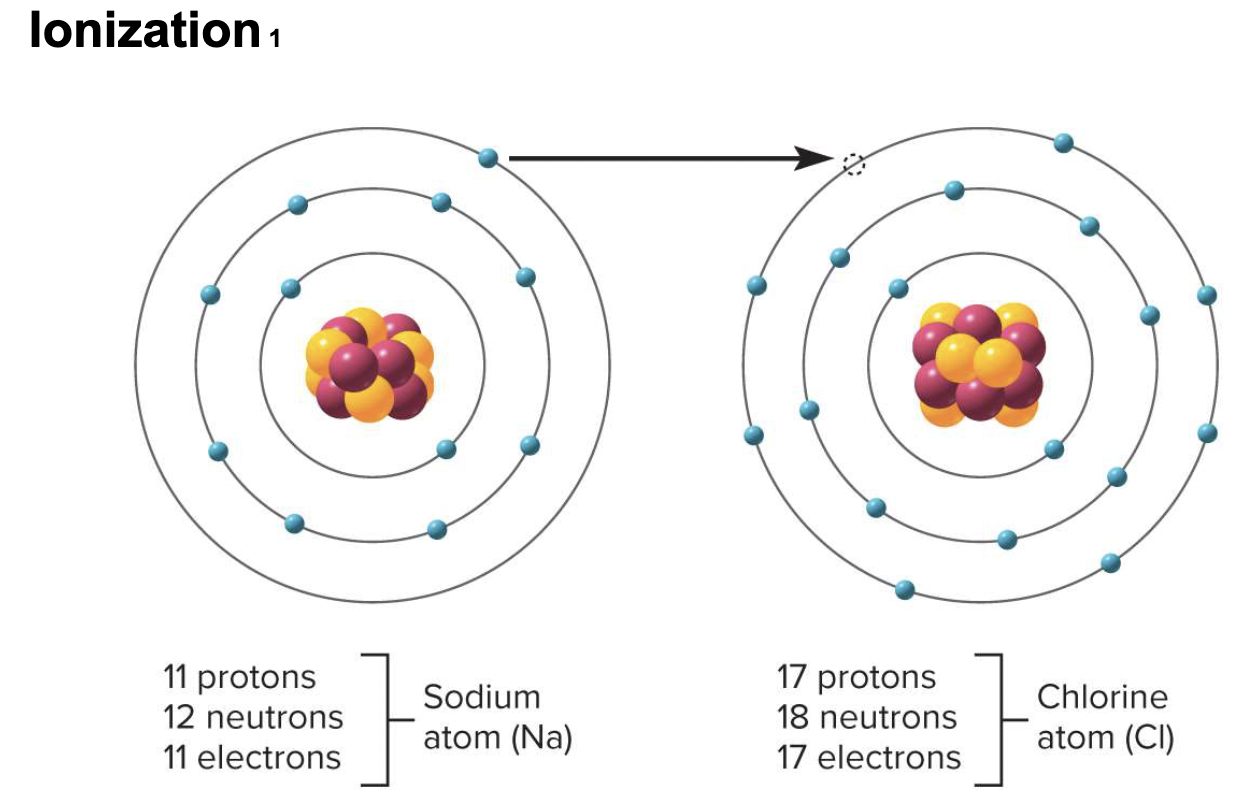 <p> transfer of electrons from one atom to another</p>