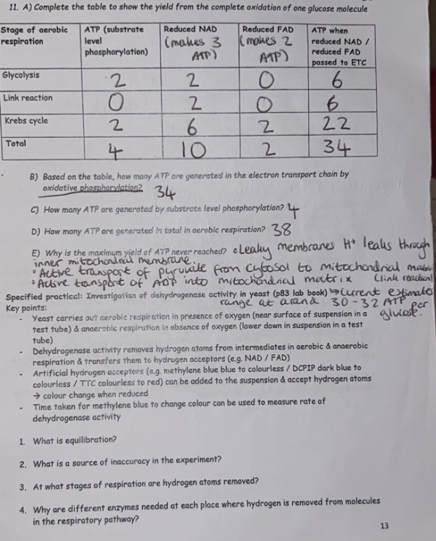 knowt flashcard image