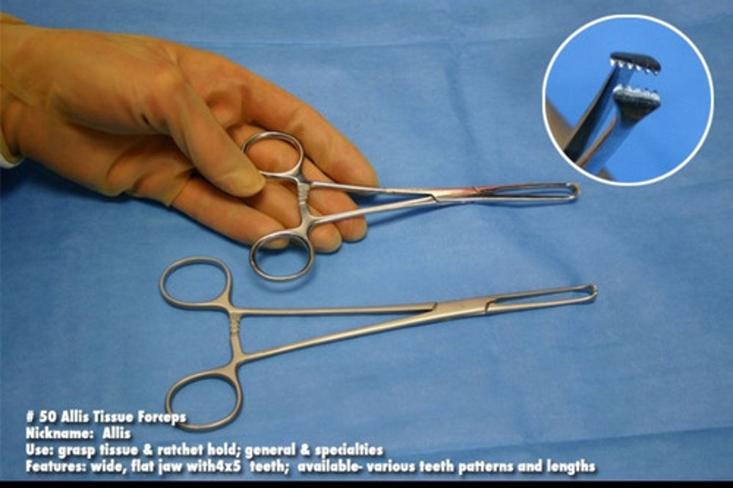 <p>A straight grasping forceps with serrated jaws, used to forcibly grasp or retract tissues or structures. Often used for grasping soft tissue such as breast or bowel tissue.</p>