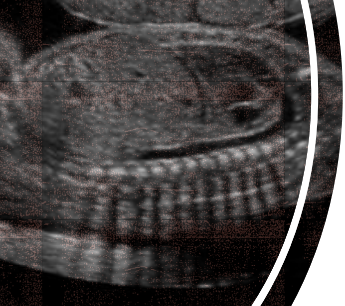 <p>what type of artifact is this?</p>