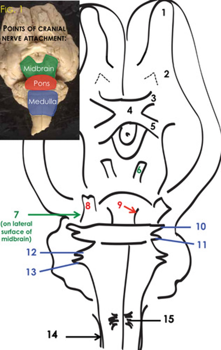 <p>7?</p>