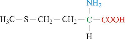 <p>What is the name of this amino acid, and, what are the single and three letter codes?</p>