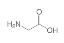 <p>the given amino acid is</p><p>A. Gly</p><p>B. Ala</p><p>C. Leu</p><p>D. no amino acid</p>