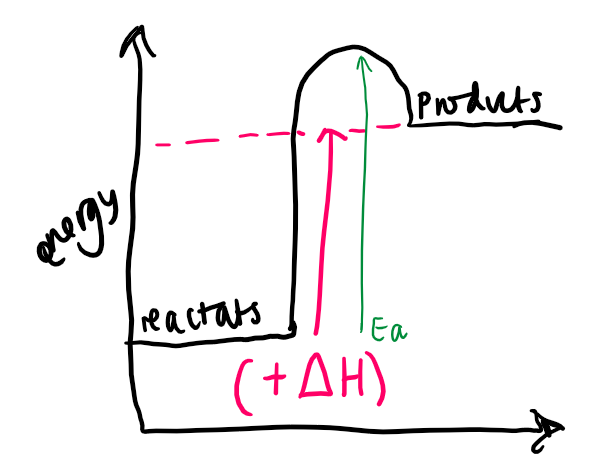 what type of reaction is shown