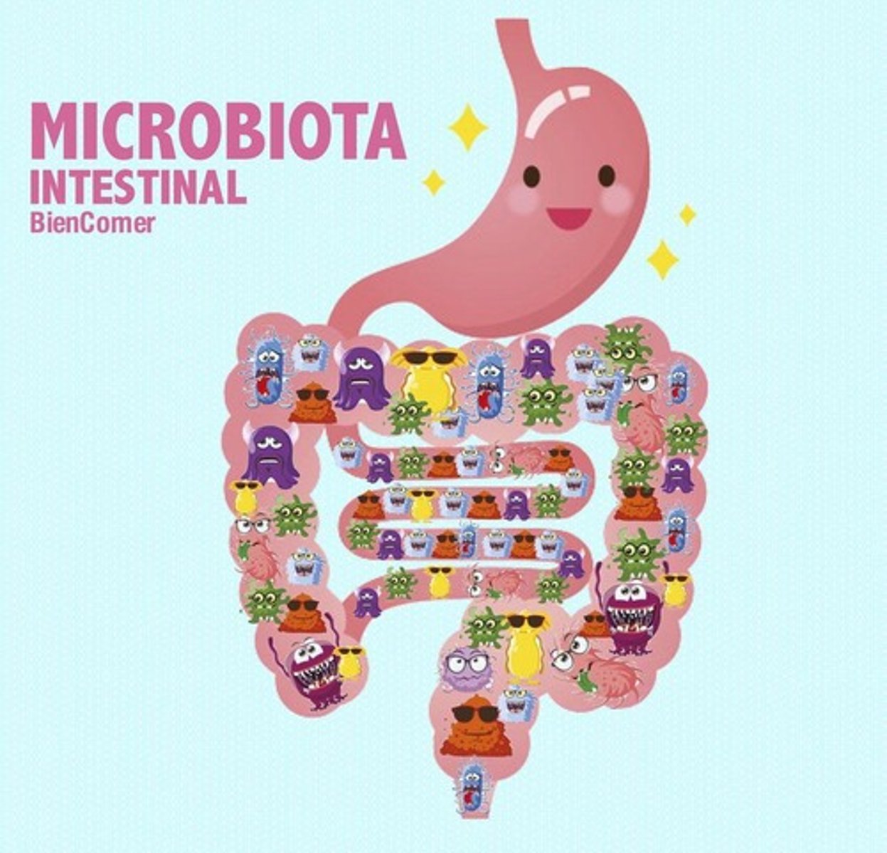 <p>Altered microbiota with more Firmicutes and fewer Bacteroidetes.</p>