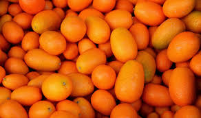 <p>Kumquat</p>