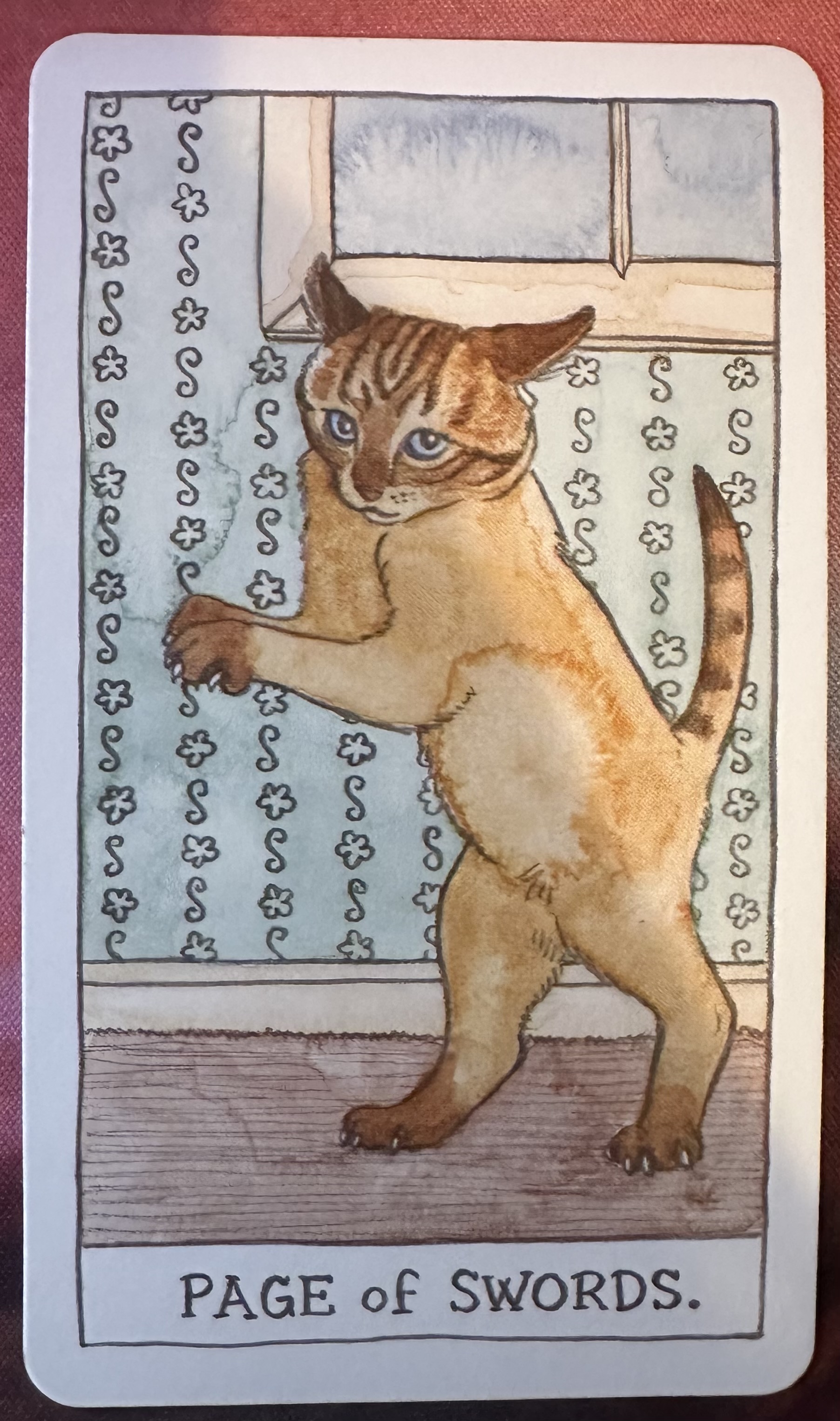 <p>Page of Swords Upright</p>